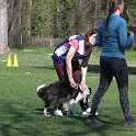 IMG 0391