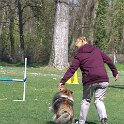 IMG 0398