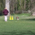 IMG 0405