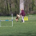IMG 0408