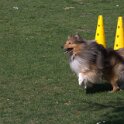 IMG 0421