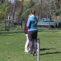 IMG 0427