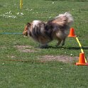 IMG 0441