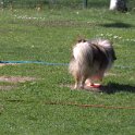 IMG 0443