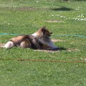 IMG 0446
