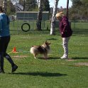IMG 0447
