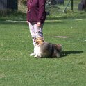 IMG 0451