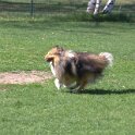 IMG 0454