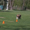 IMG 0464