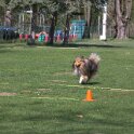 IMG 0466