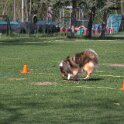 IMG 0468
