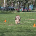 IMG 0470