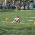 IMG 0471