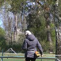 IMG 1164