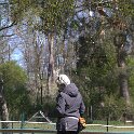 IMG 1165