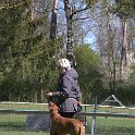 IMG 1166