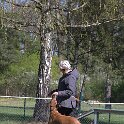 IMG 1167