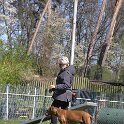 IMG 1170