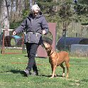 IMG 1174