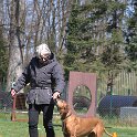 IMG 1175