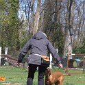 IMG 1176
