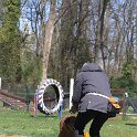 IMG 1177