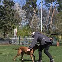 IMG 1178