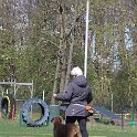 IMG 1184