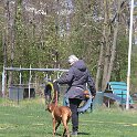 IMG 1185