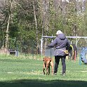 IMG 1186