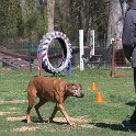 IMG 1194