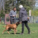 IMG 1195
