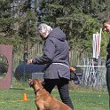 IMG 1198