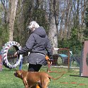 IMG 1199