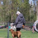IMG 1200