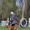IMG 1204