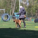 IMG 1206