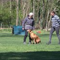 IMG 1213