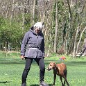 IMG 1229