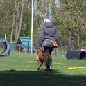 IMG 1239