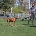 IMG 1249