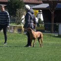 IMG 1255