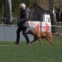 IMG 1262