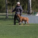 IMG 1263