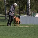 IMG 1264