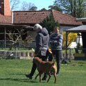 IMG 1273