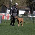 IMG 1279