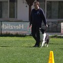 IMG 1284