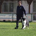IMG 1285