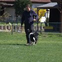 IMG 1291